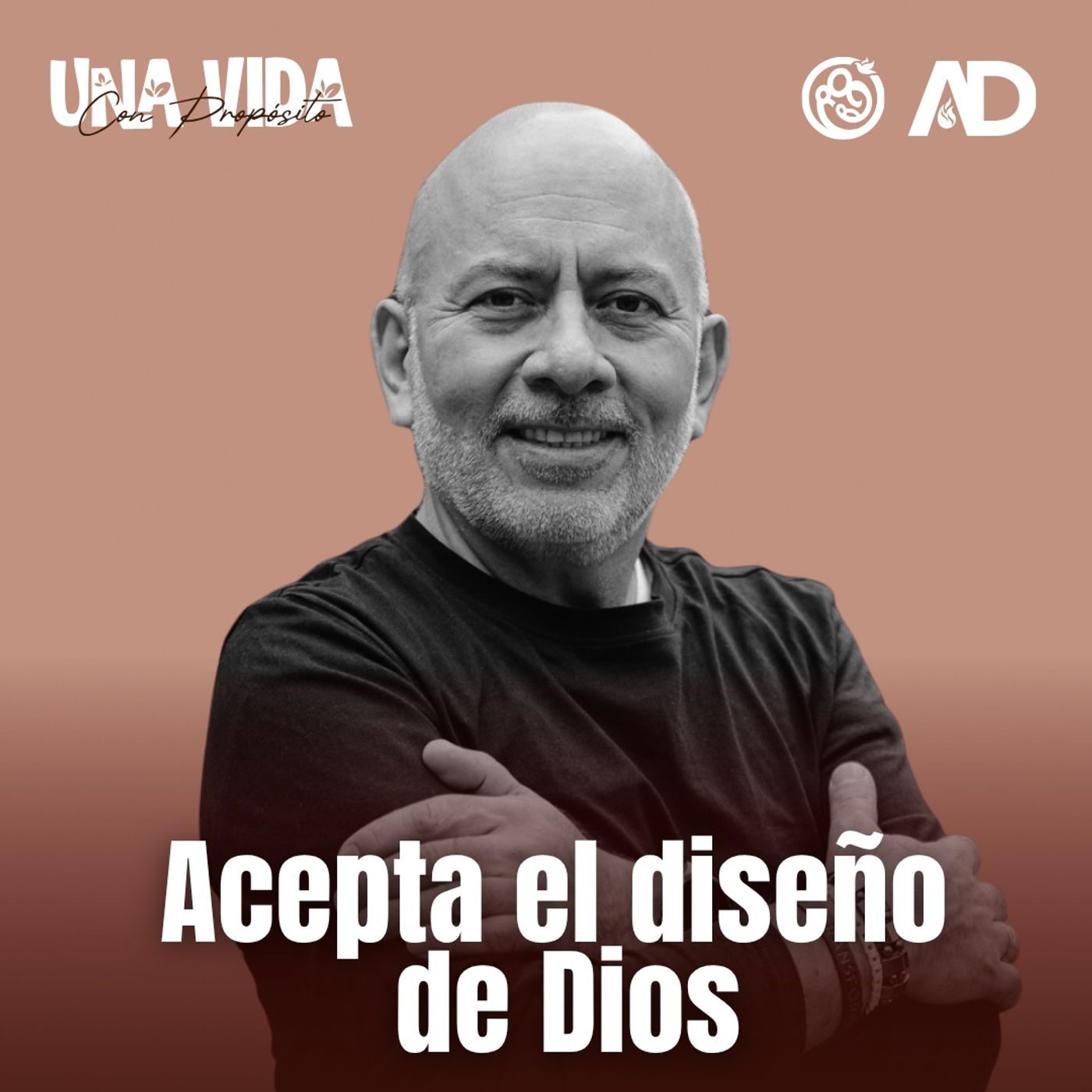 Portada de Entre La Vida y la Biblia
