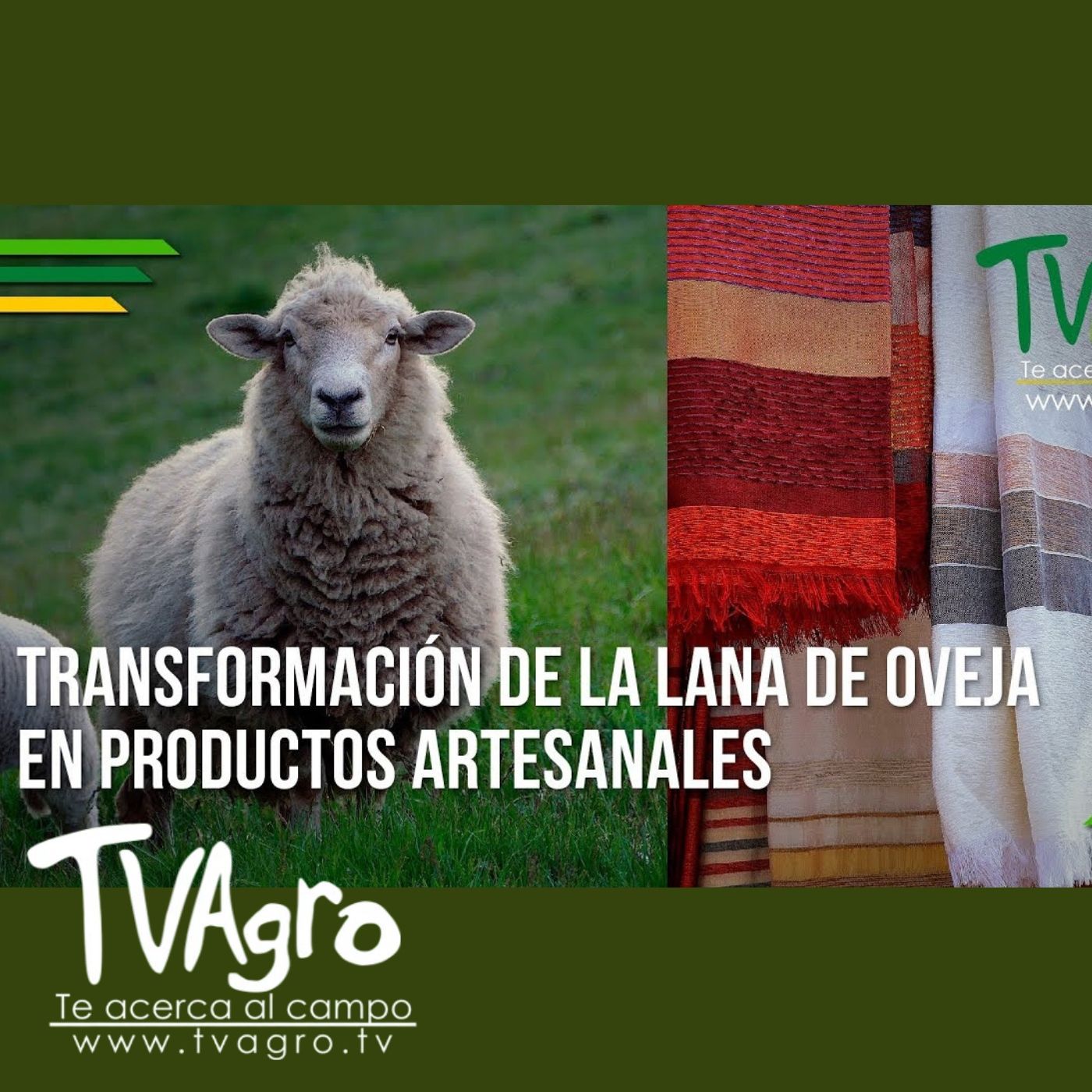 TV AGRO