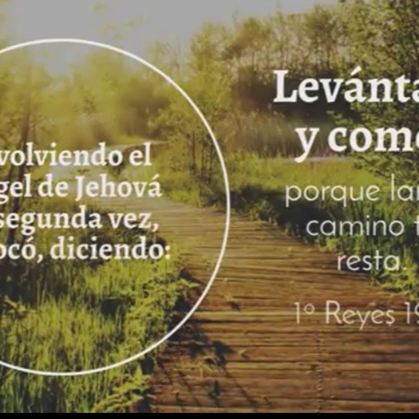Su delicia