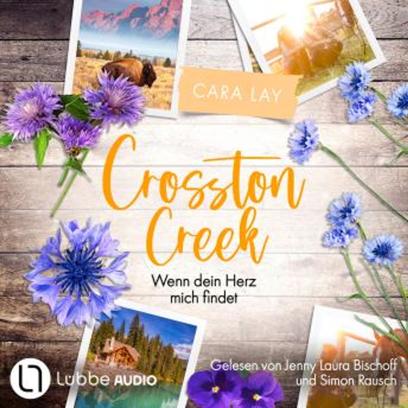 Enjoy Amazing Full Audiobooks in Romance, Modern