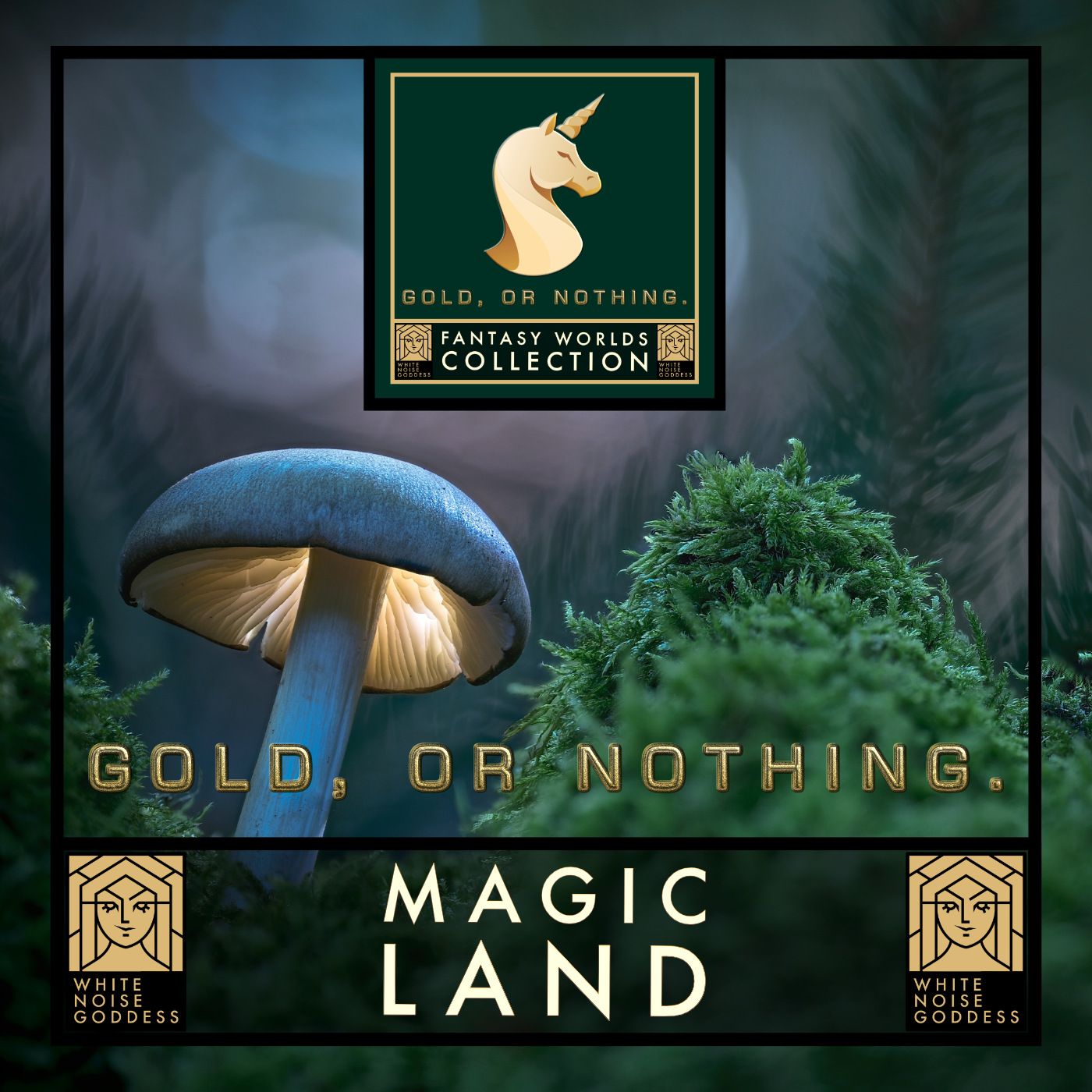 Magic Land | Fantasy Music Ambience | Relaxing Nature