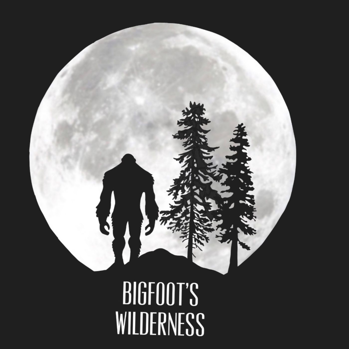 Bigfoots Wilderness Podcast