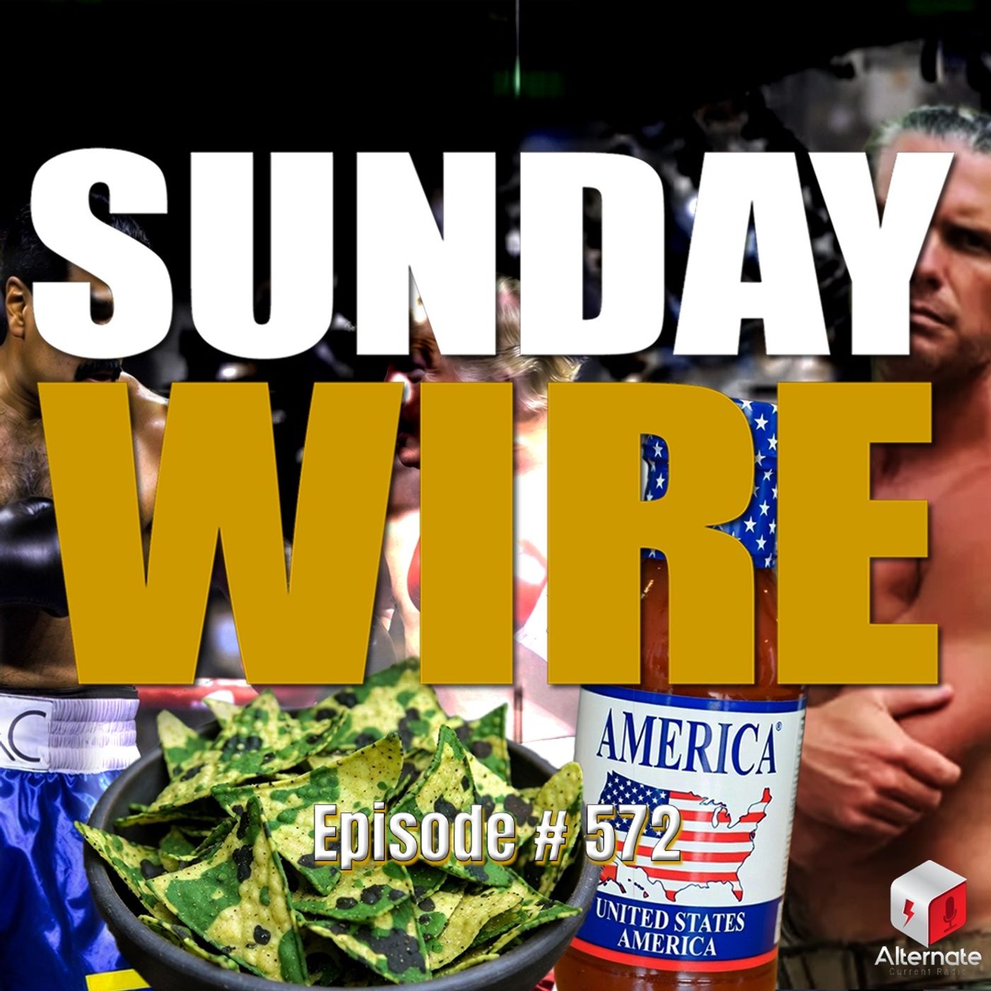 SUNDAY WIRE EP 572 - Trump's Own WMD-Style Hoax, with Salsa