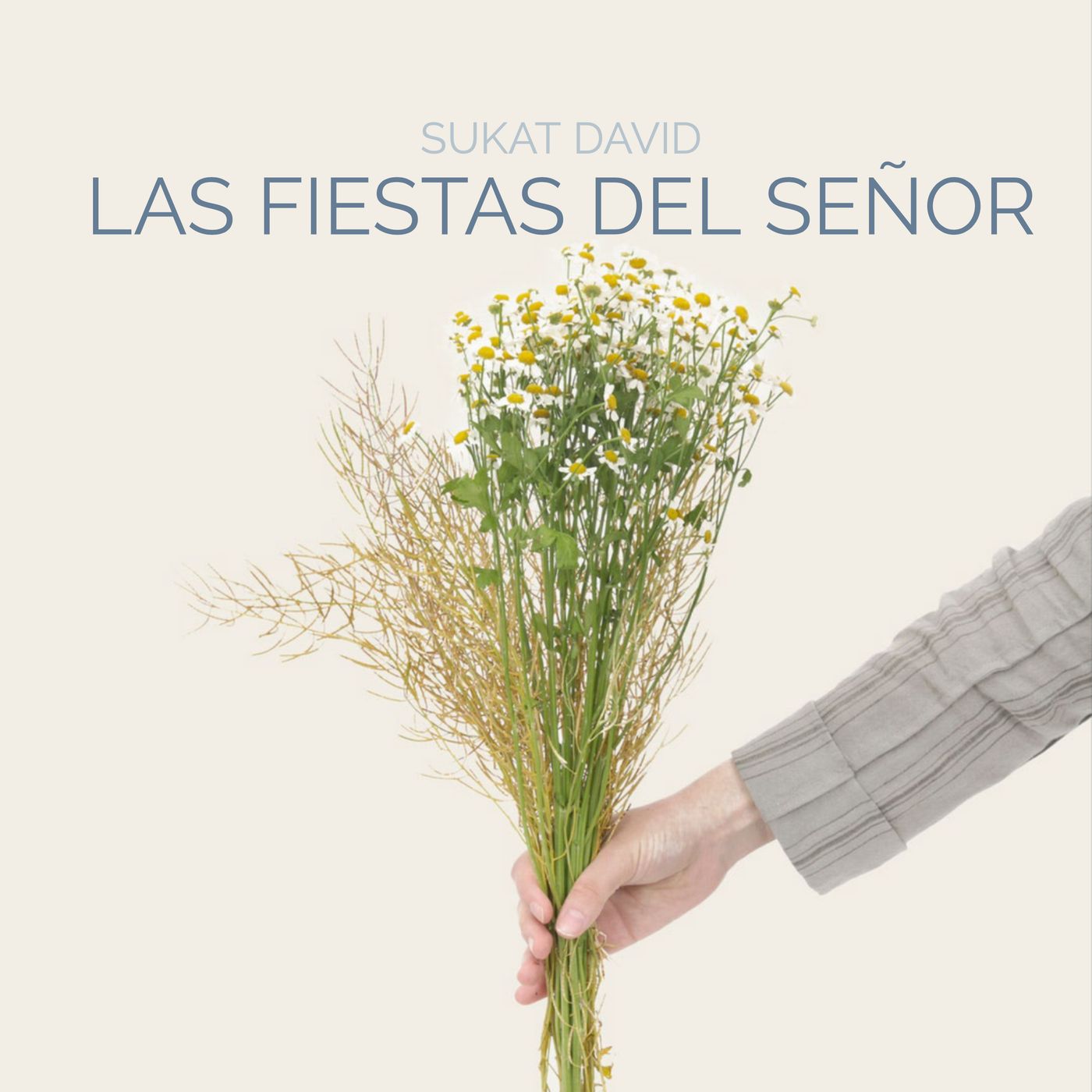 LAS FIESTAS DEL SEÑOR - ESTUDIOS