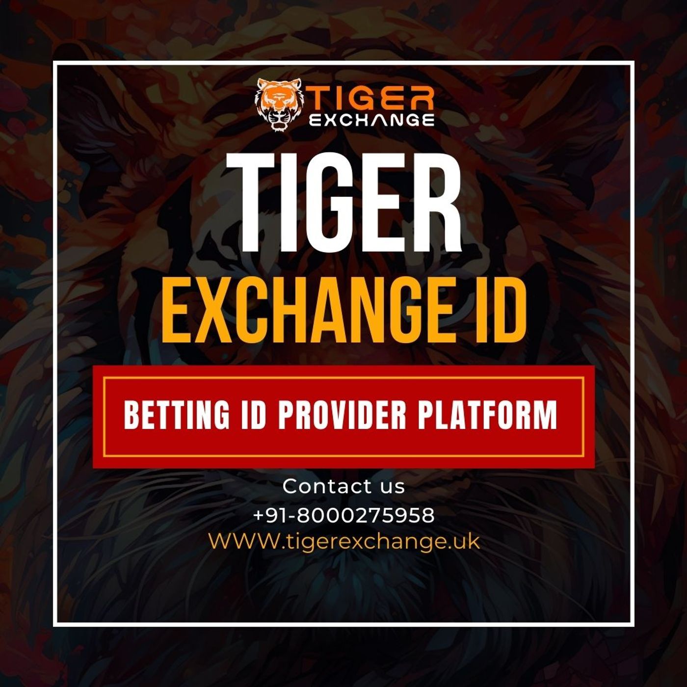 Secure Your Online Identity with Tiger E