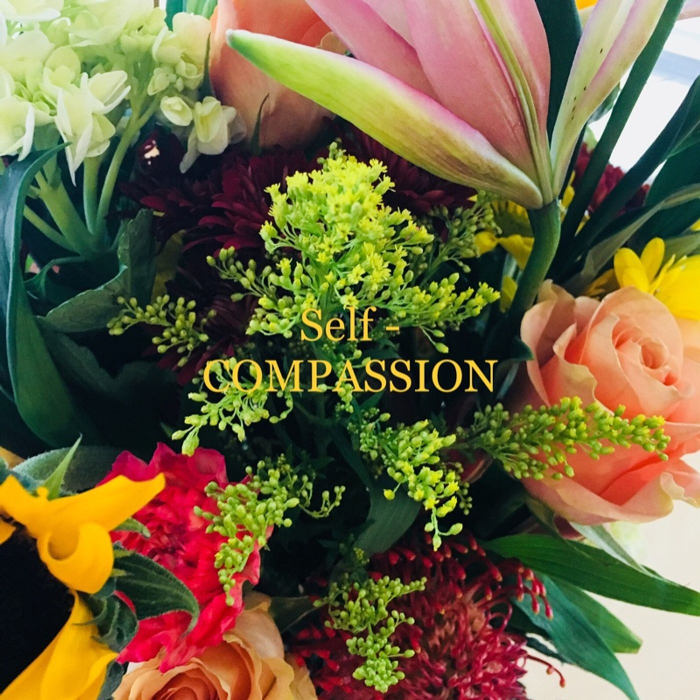Self Compassion episode artwork