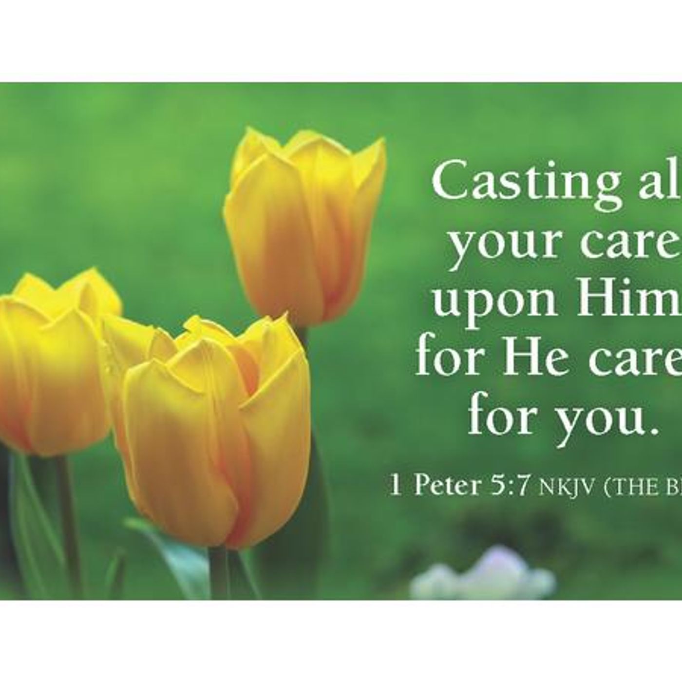Casting Our Cares Upon Our Caring Lord (Part 4) [B 180] episode artwork
