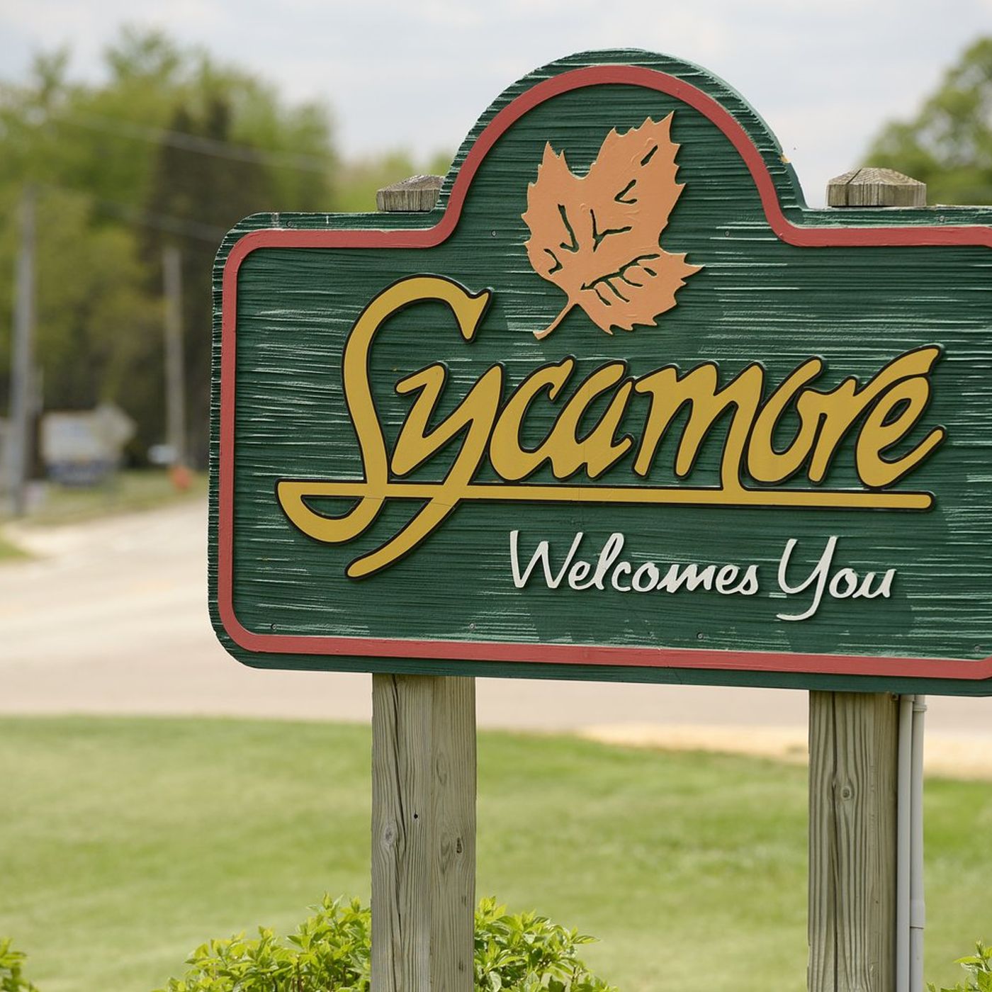 Sycamore residents invited to apply for city’s tree planting program episode artwork
