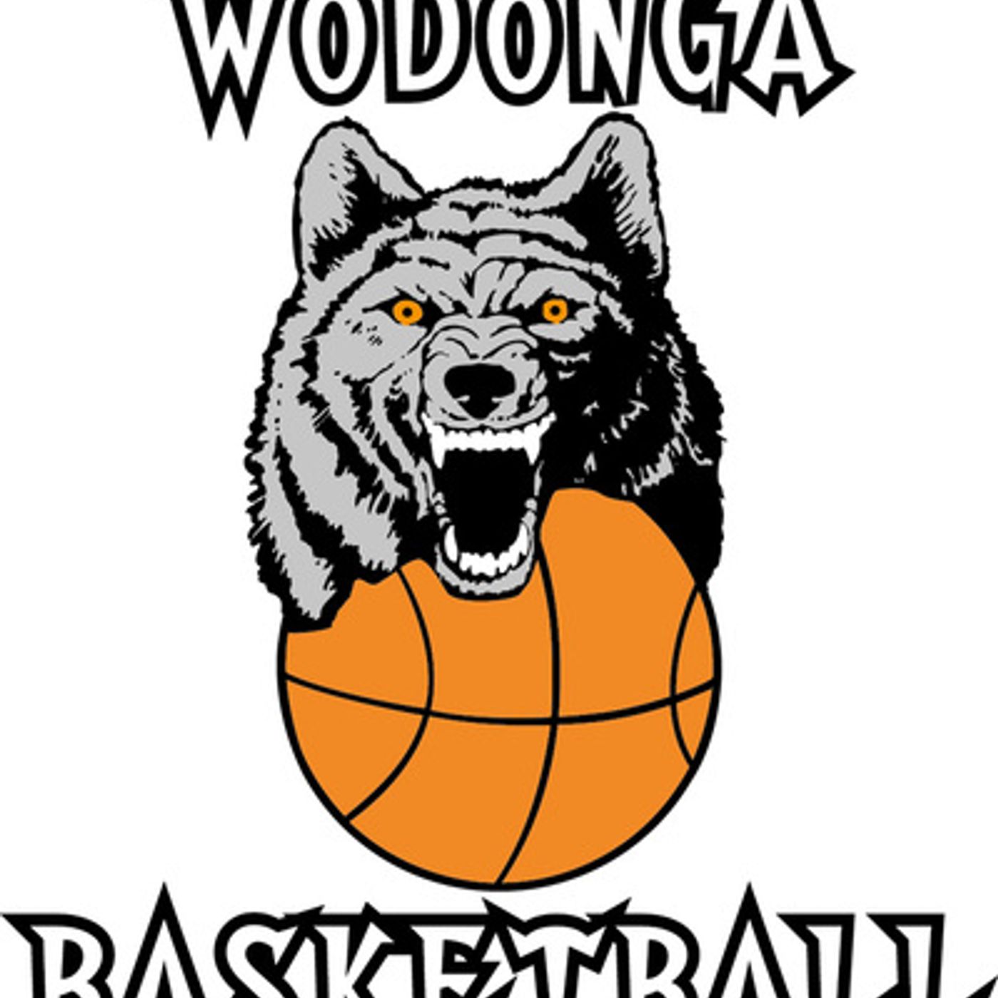 SSS: WODONGA WOLVES CBL MENS - BLAKE MILLS 170118 episode artwork