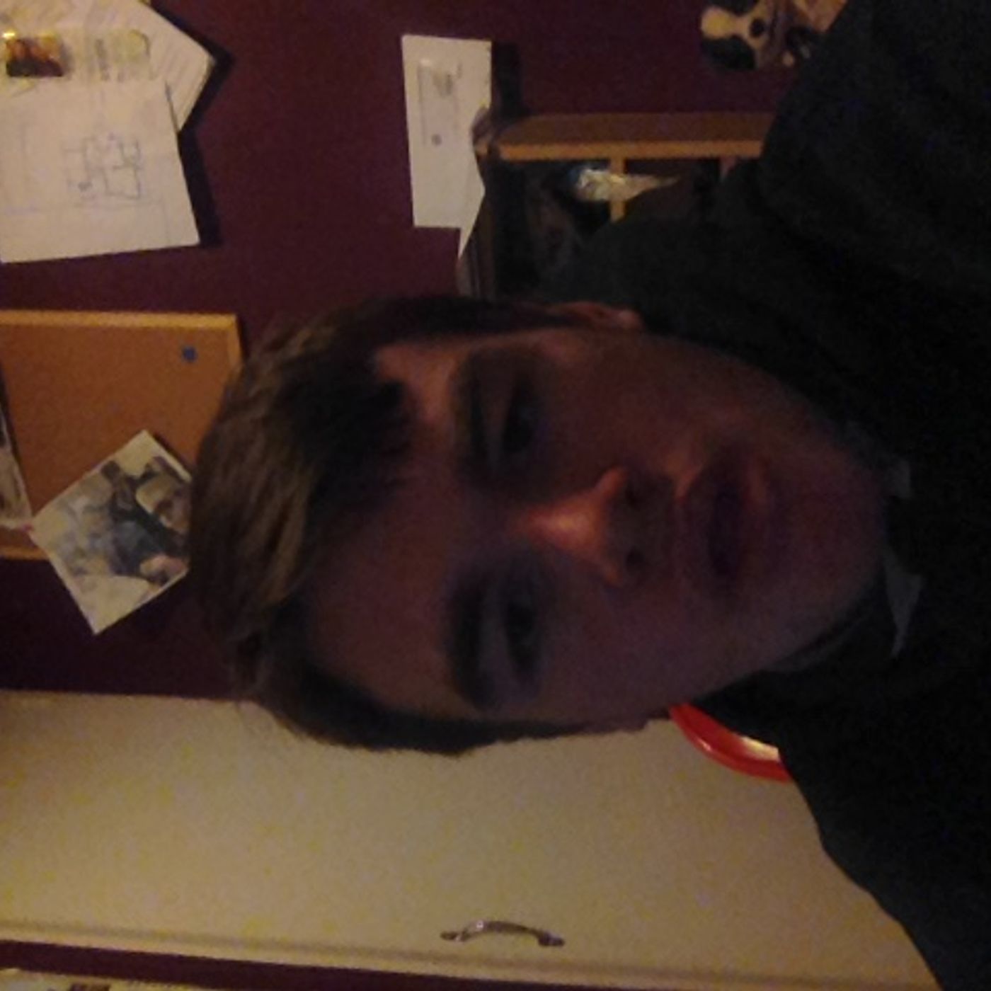 Luke Howard show - i do my nighbours garden show Luke Howard show - i do my nighbours garden show