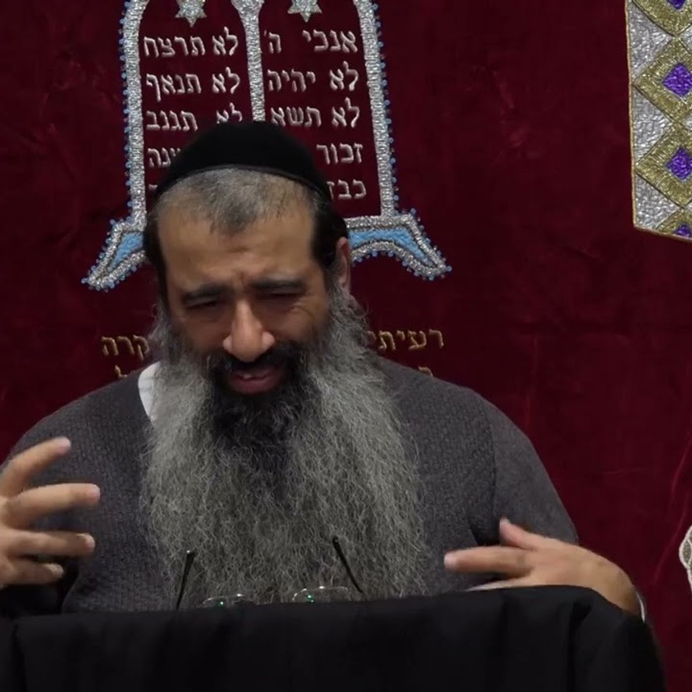 תומר דבורה 24 (35 בפועל)