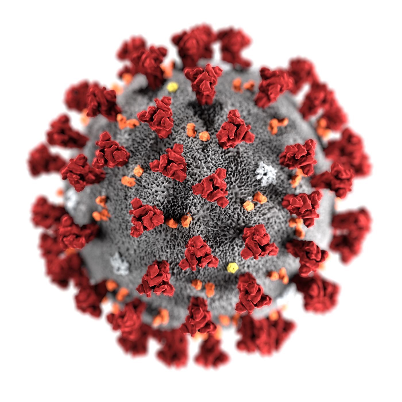 Coronavirus&Policy