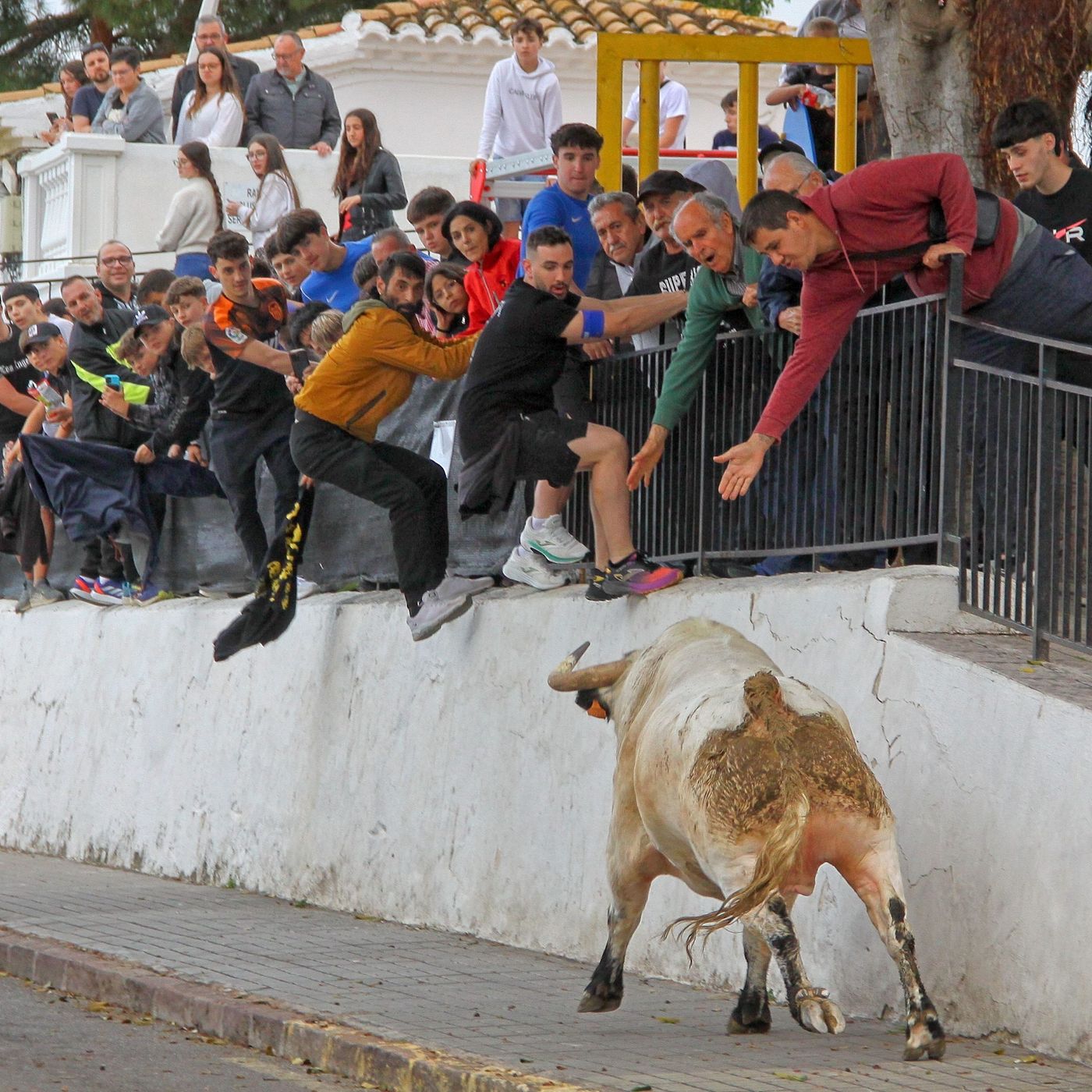 Hablemos de Toros