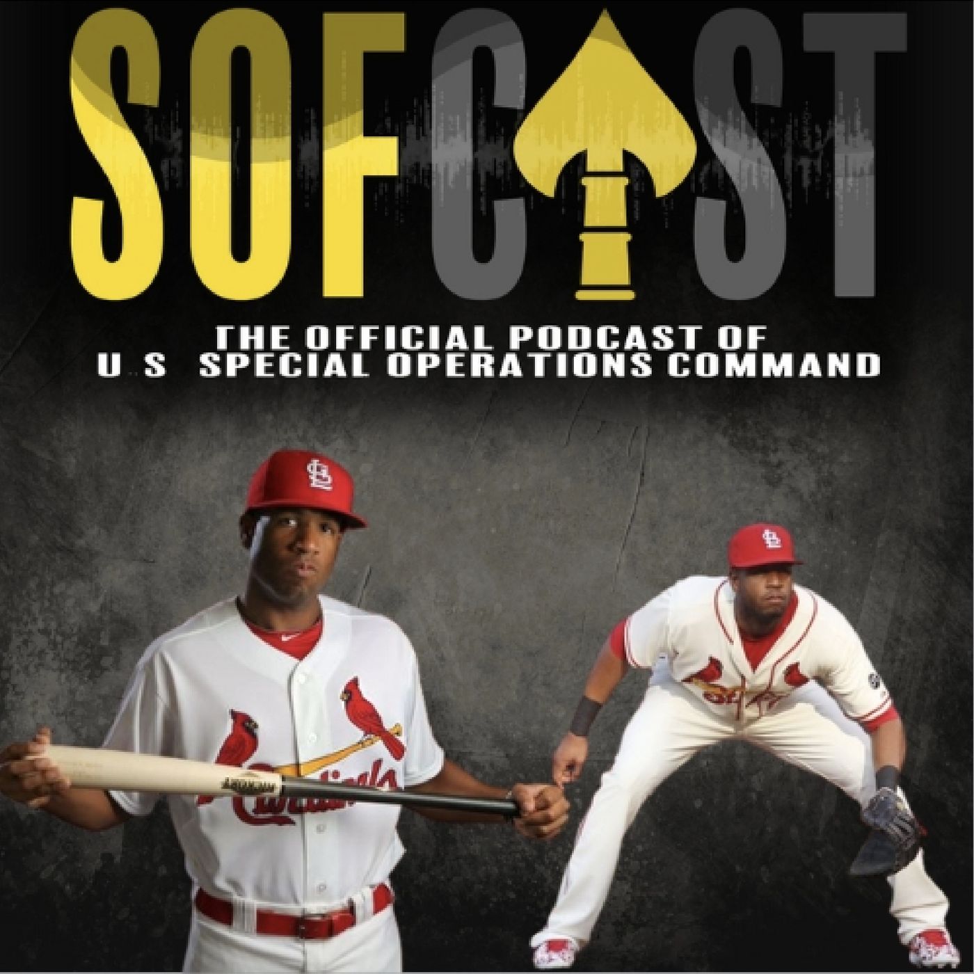SOFcast