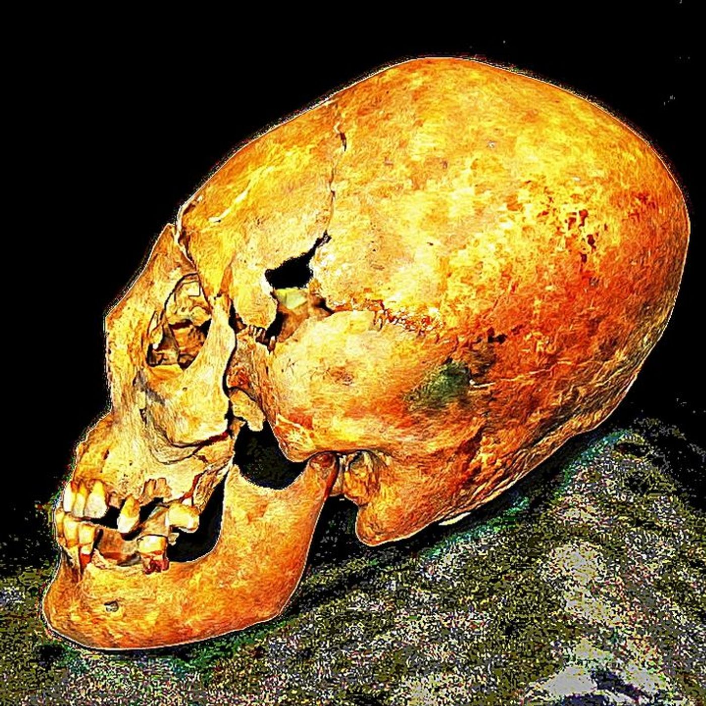 Rob McConnell Interviews - MARK A CARPENTER - Anthropologist, Explorer and Author Rob McConnell Interviews - MARK A CARPENTER - Anthropologist, Explorer and Author