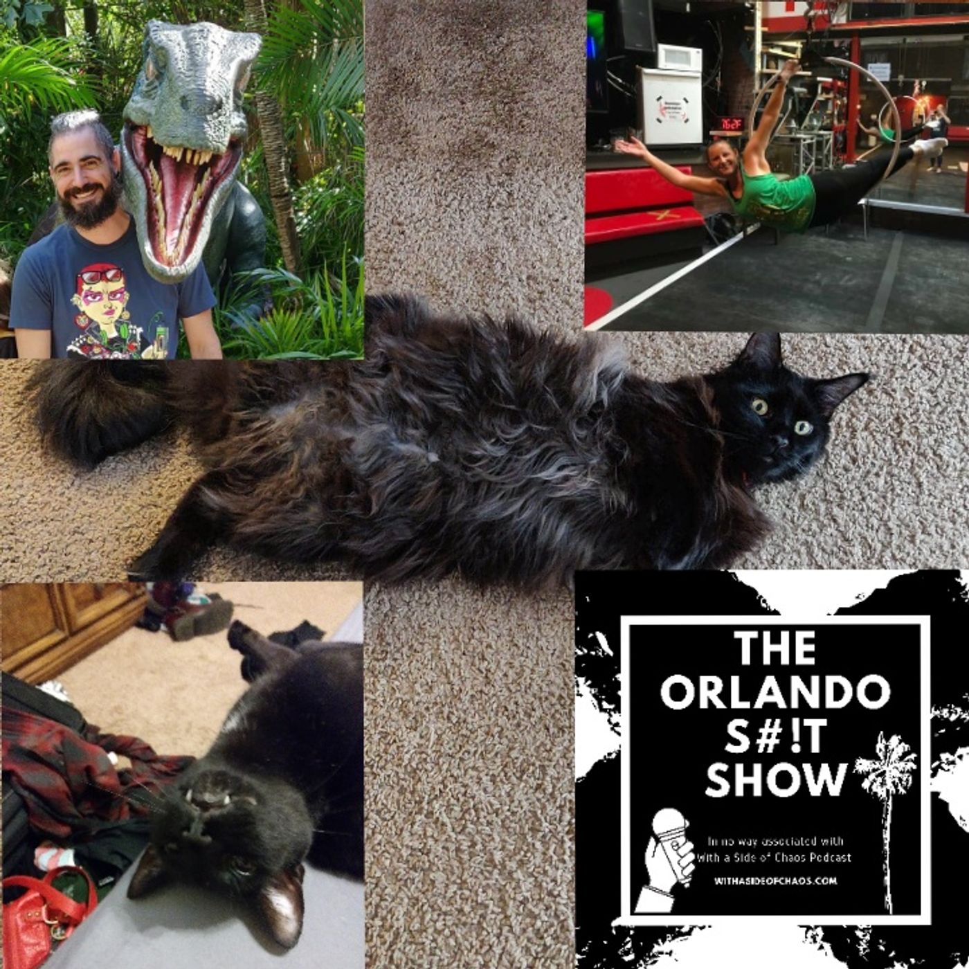 The Orlando Shit Show: Cats and Currency episode artwork