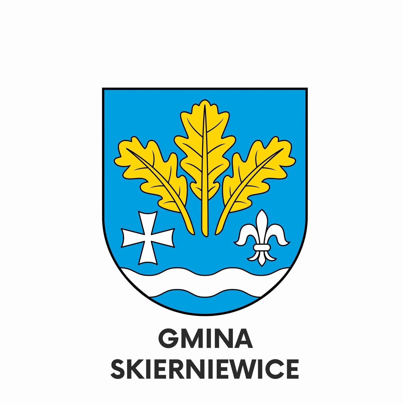 Program samorządowy gminy Skierniewice: Lucja Skarzyńska – wójt gminy Skierniewice (21.08) episode artwork