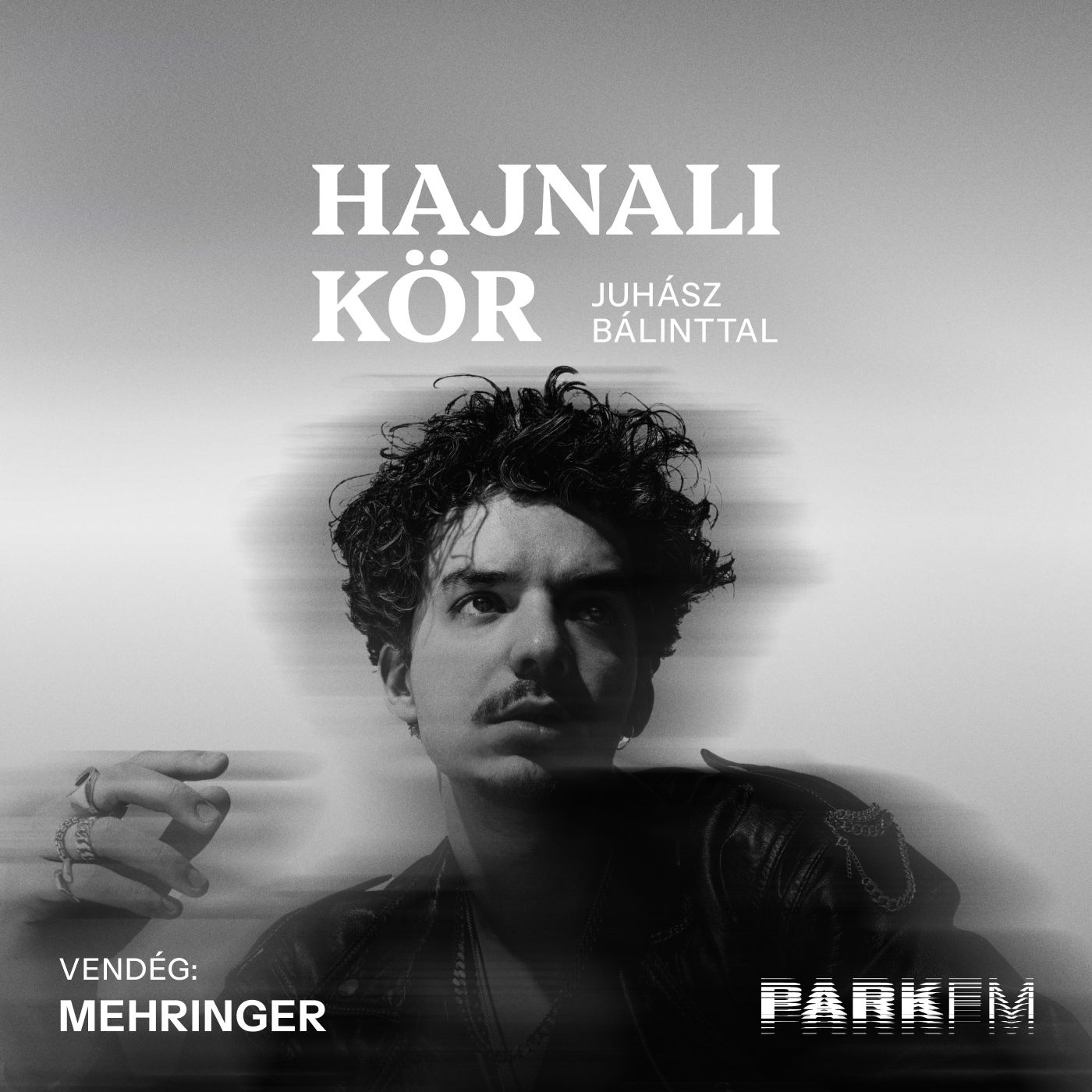 Mehringer: Gyerekkorom óta érzem, hogy egyszer Pici bácsival fogok zenélni | Park FM – Hajnali Kör