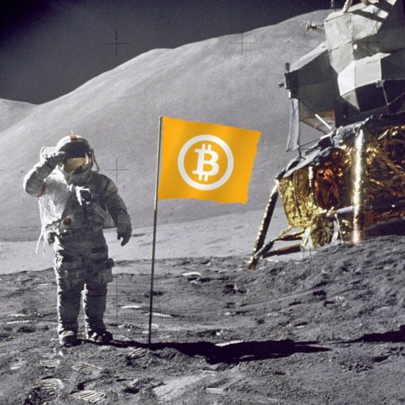 Turtle Road - Finanza e Investimenti