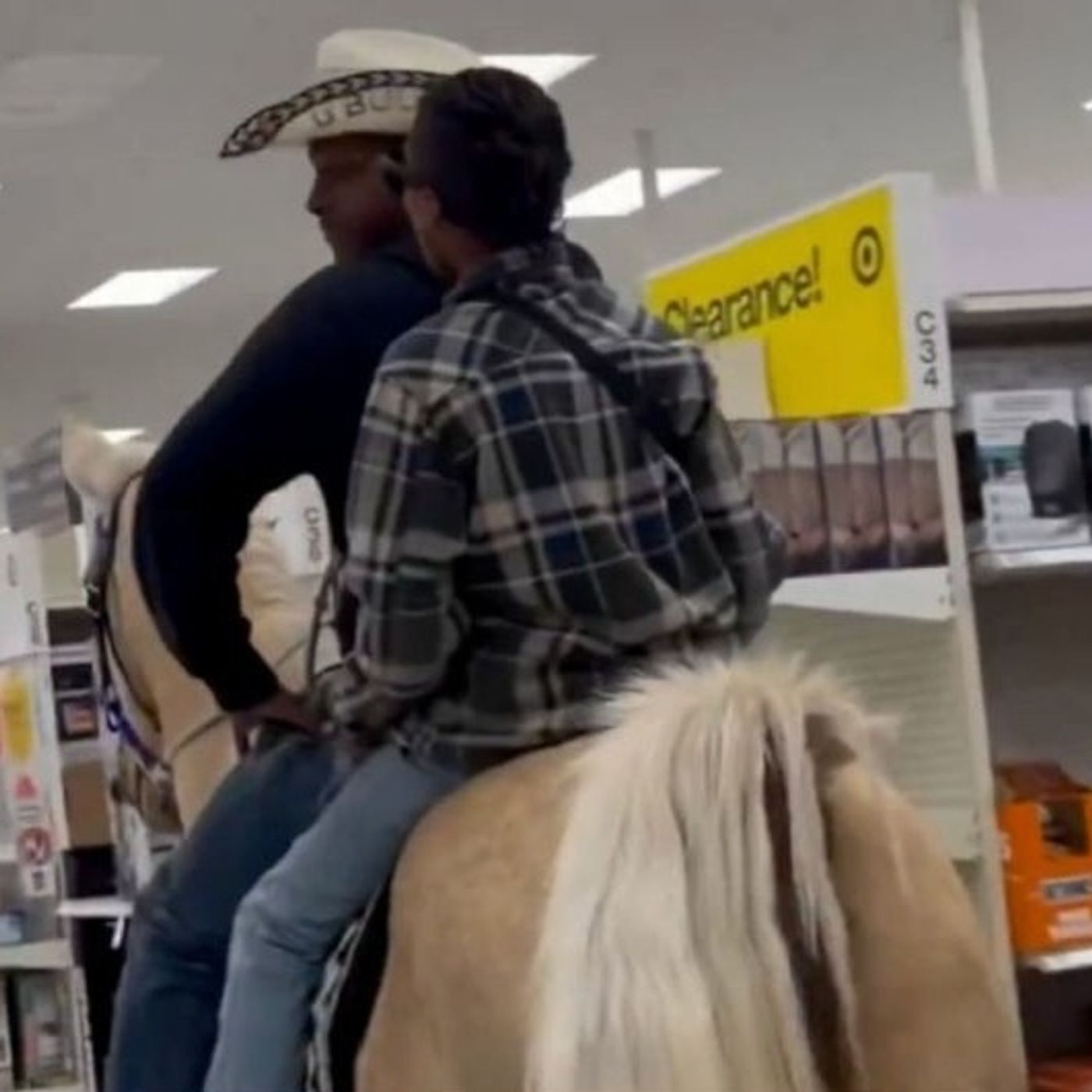 Horse Poop In Target, "Camel KO" At Church, and Free Weed At School episode artwork
