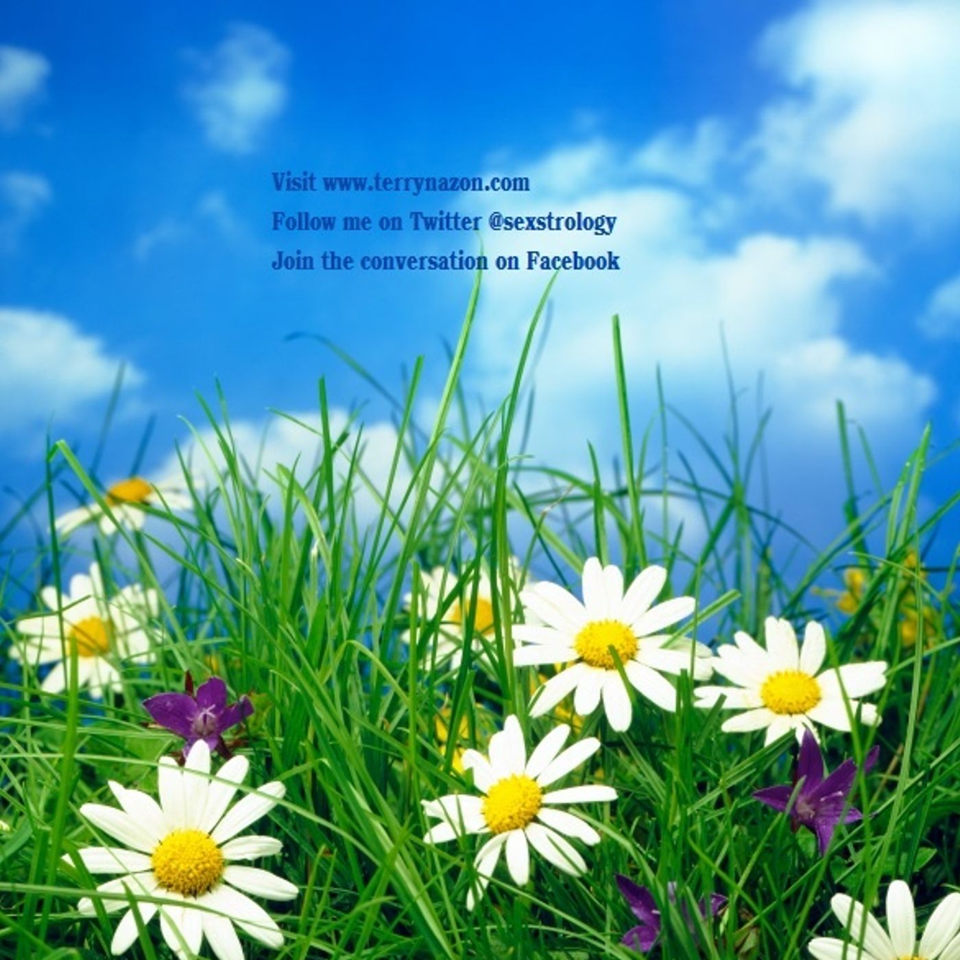 Virgo Daily Horoscope Tuesday April 15 episode artwork