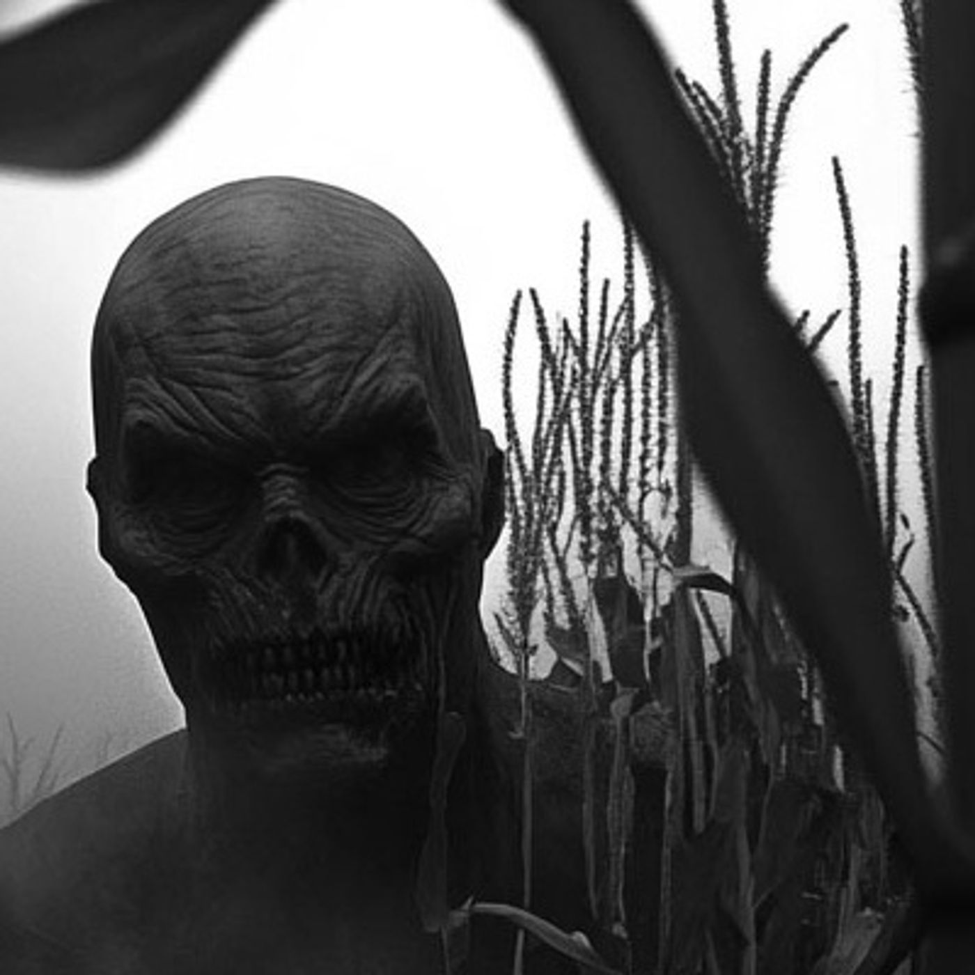 Las Criaturas Ocultas En El Rancho Historias De Terror - REDE