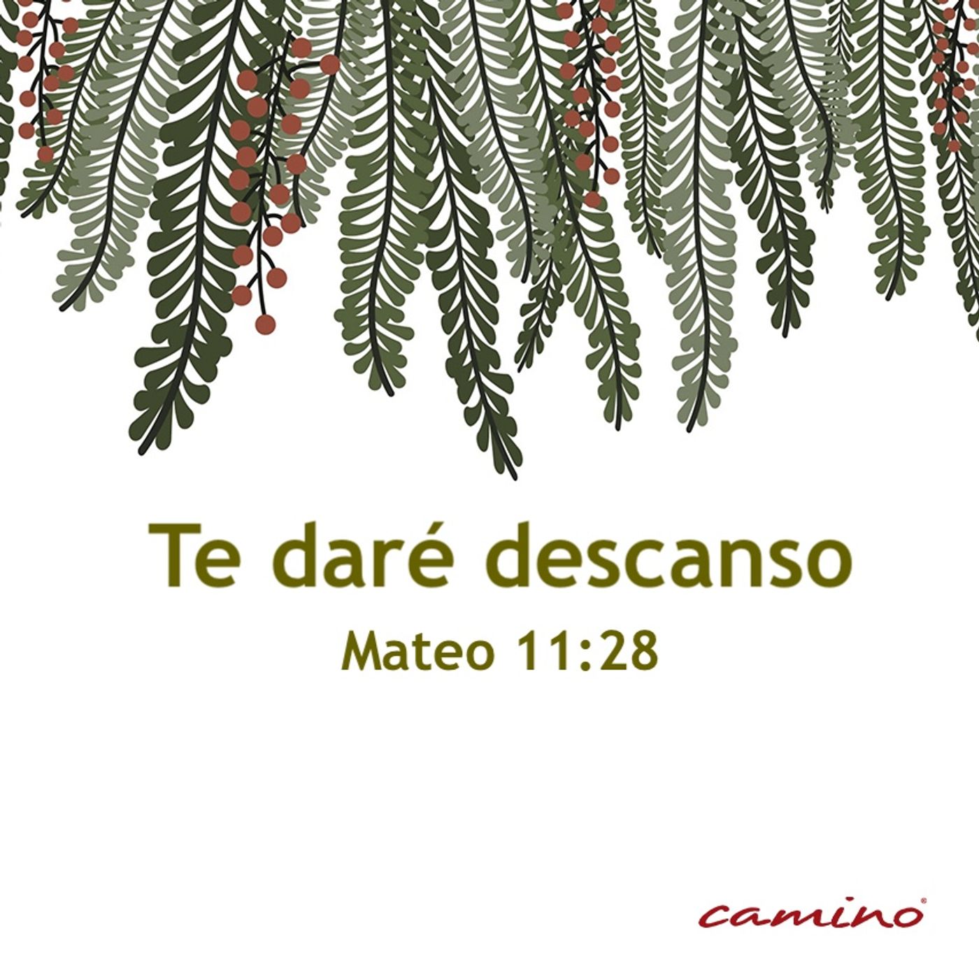 Oración 26 de noviembre  (Te daré descanso) episode artwork
