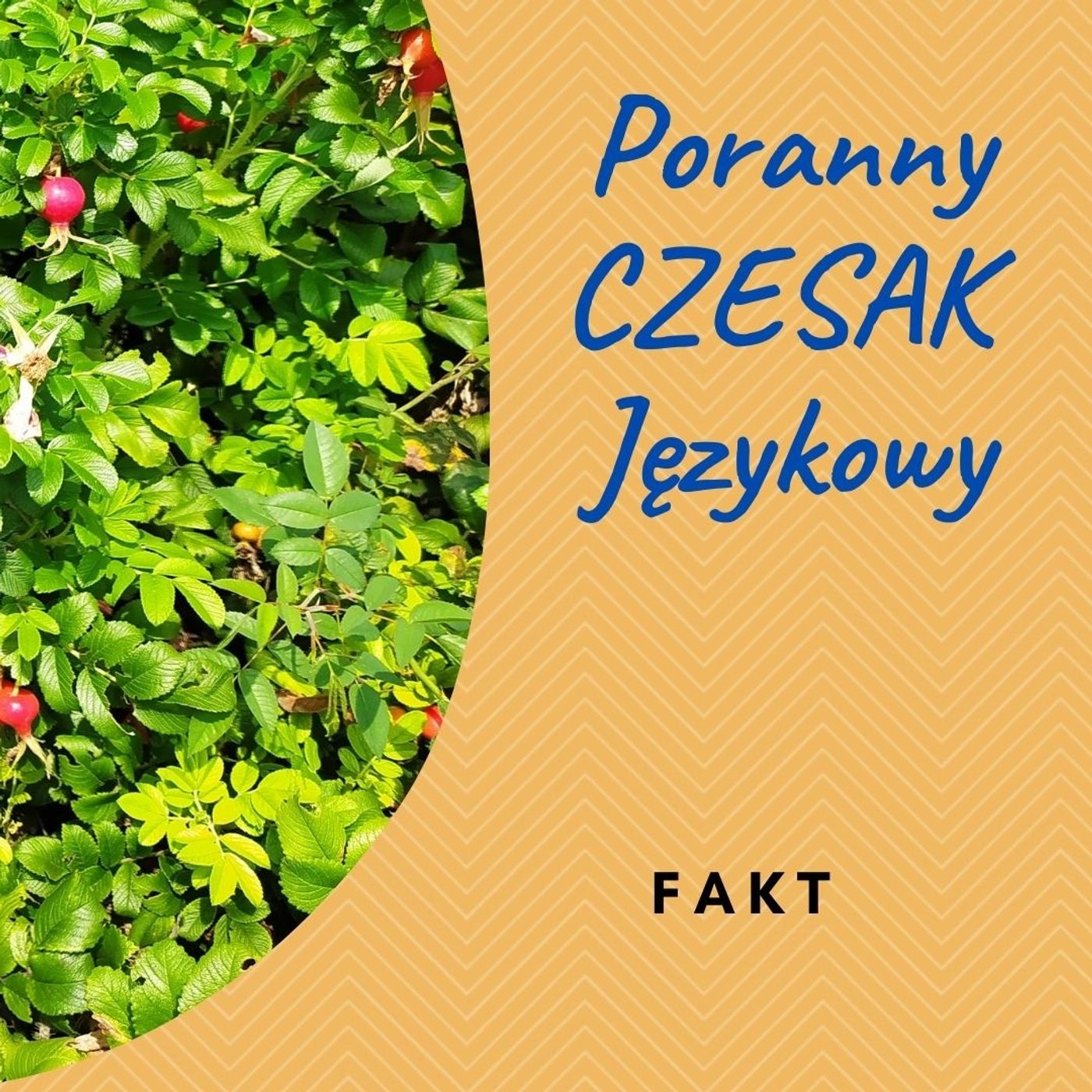 Poranny Czesak Językowy