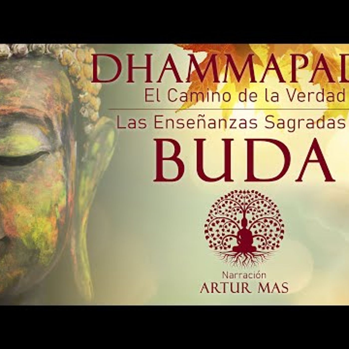 Buda - Dhammapada "El Camino de la Verdad" (Las Enseñanzas Sagradas de Buda) [Audiolibro Completo] episode artwork