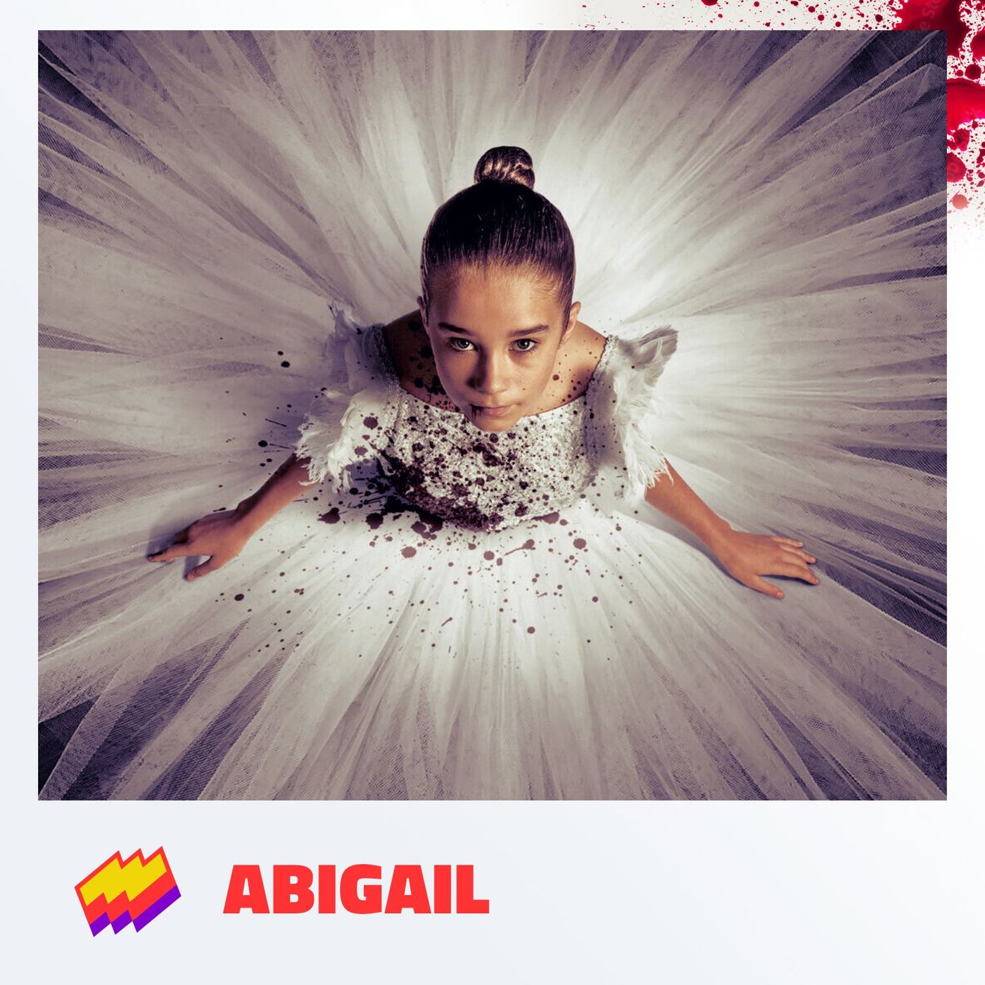 T14E14- Abigail: Piñataaas!