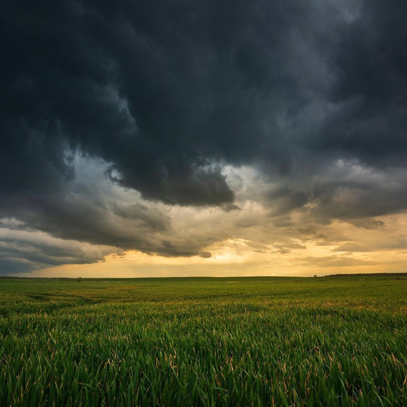Thunder, Crickets, and Katydids - 10 Hours Sleep Sound