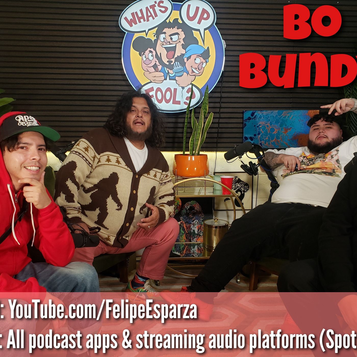 cover of episode Ep 457 - Bo Bundy