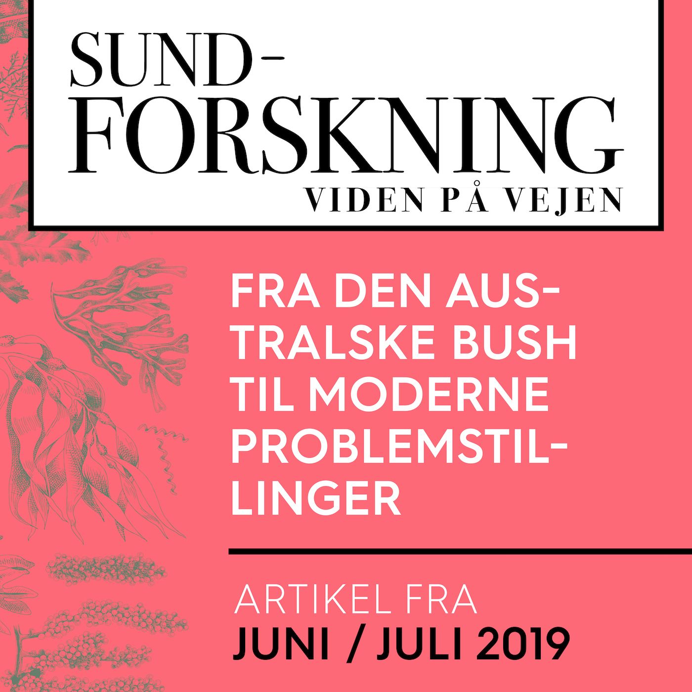 SUND-FORSKNING