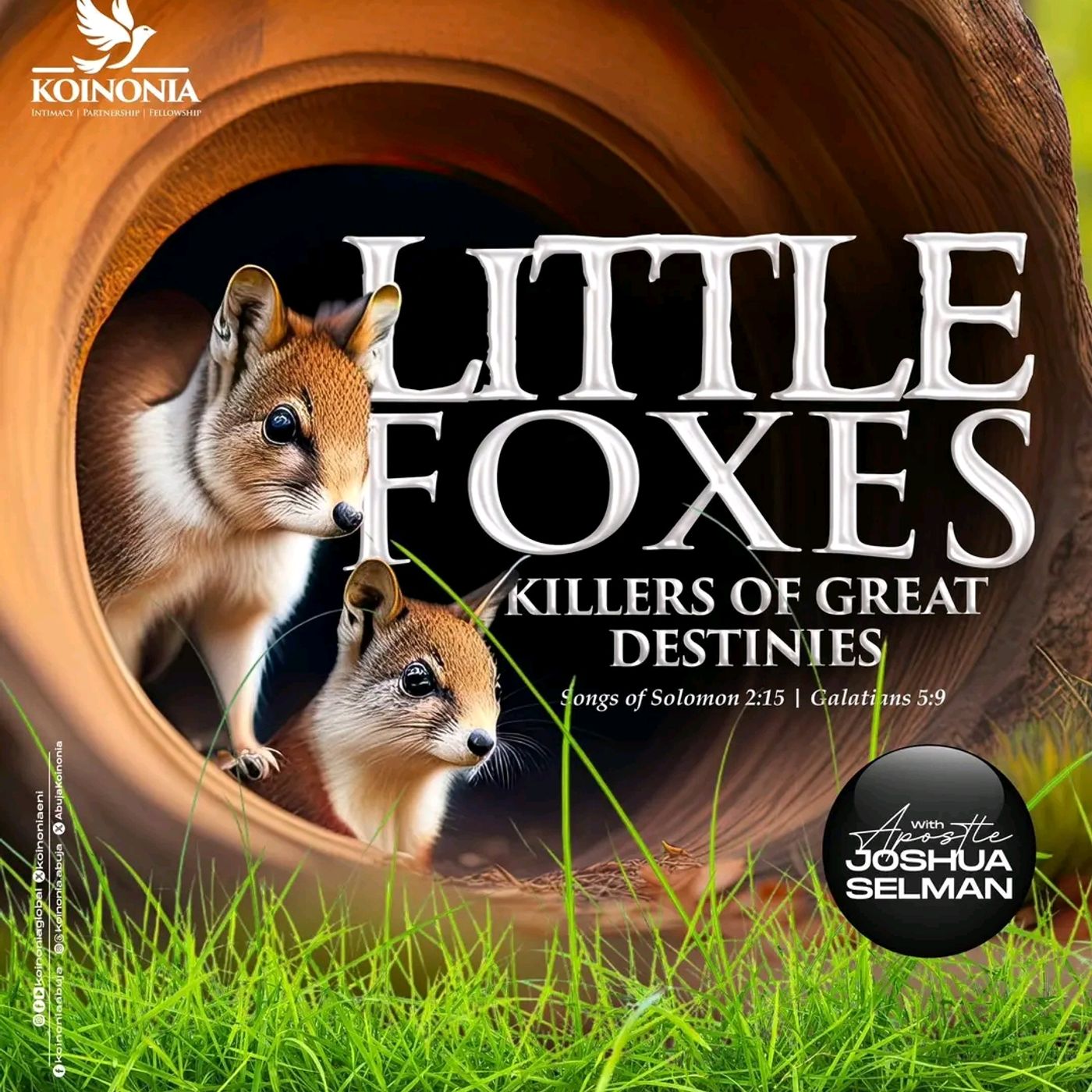 Little Foxes (Killers Of Great Destiny) - Apostle Joshua Selman