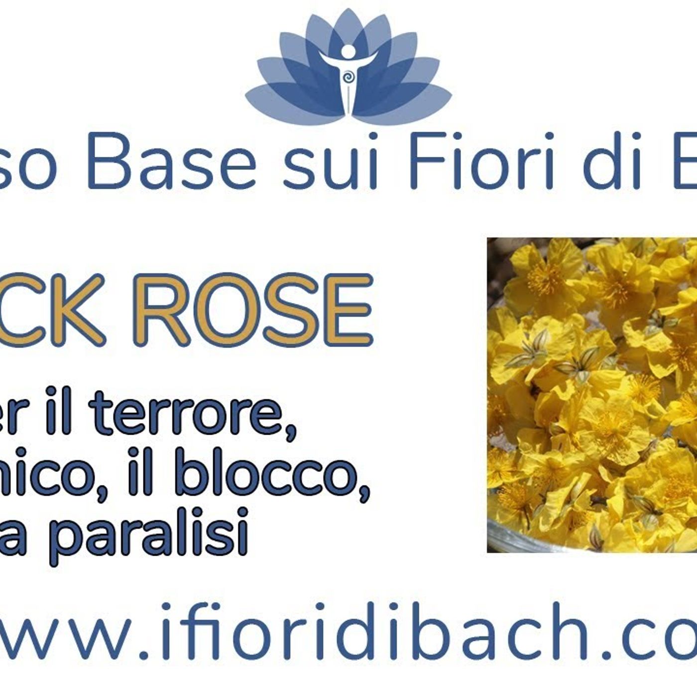 Fiori di Bach in pillole