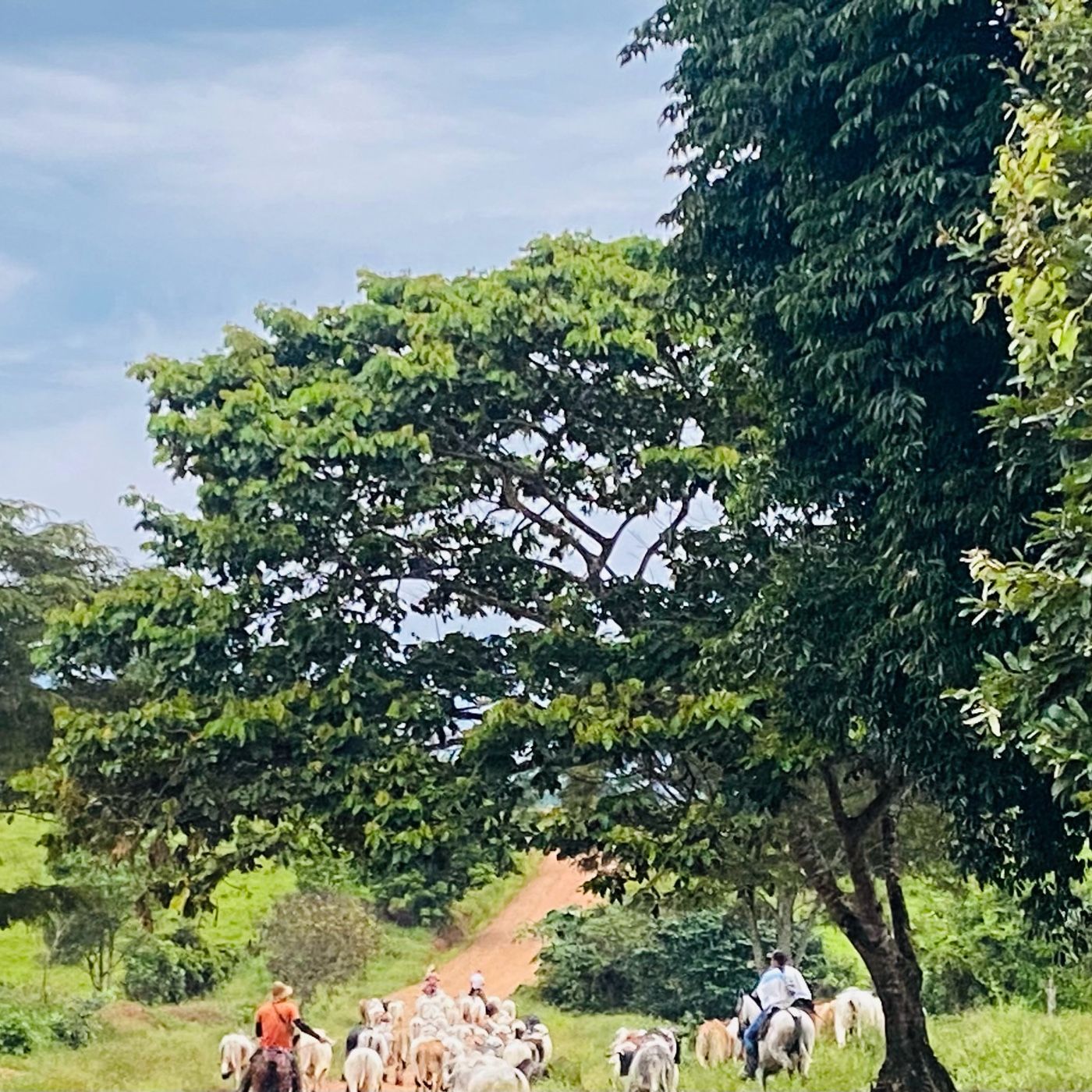 Reflexiones éticas de responsabilidad