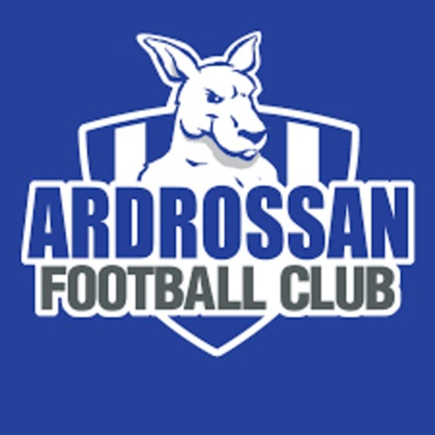 Ardrossan 1974 premiership coach Peter Forrest reminisces on premiership glory 50 years on episode artwork