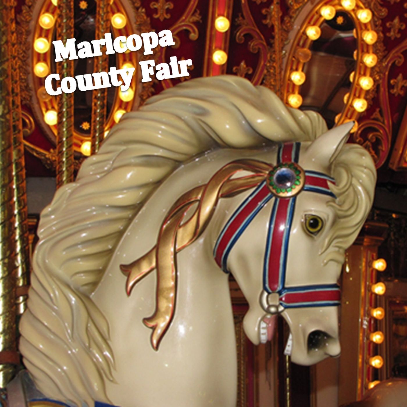 County Fairs & Fairground Events