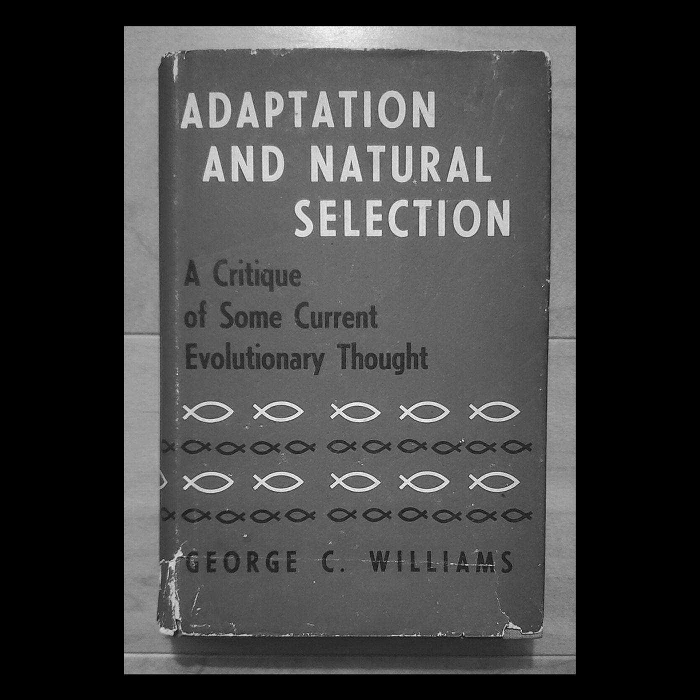 Review: Adaptation and Natural Selection by George Williams