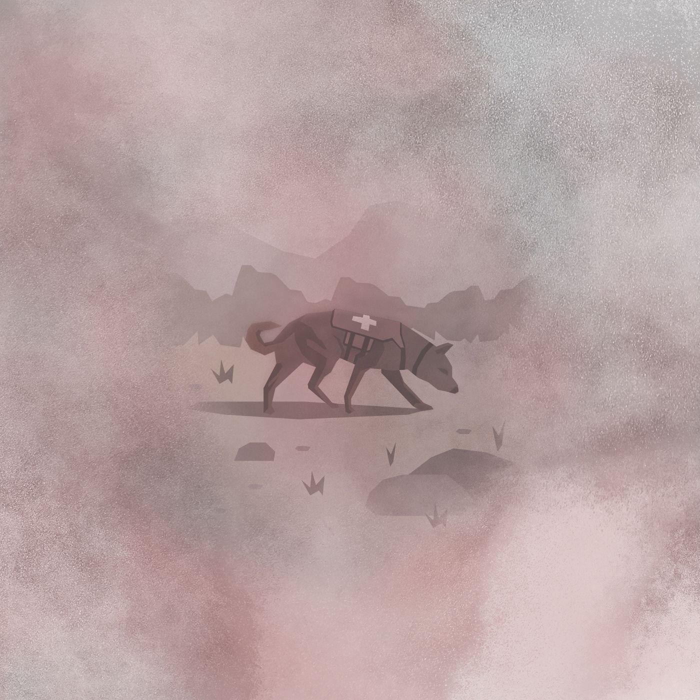 11 | The Search