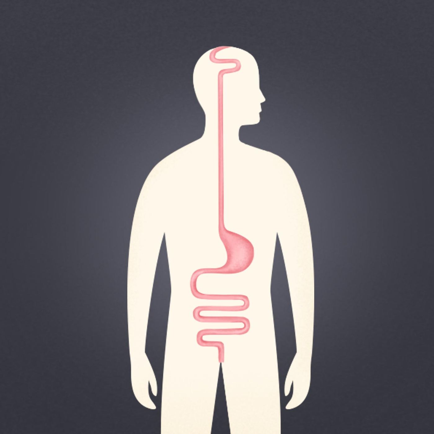 Gut: Unlocking the Secrets of Our Digestive System