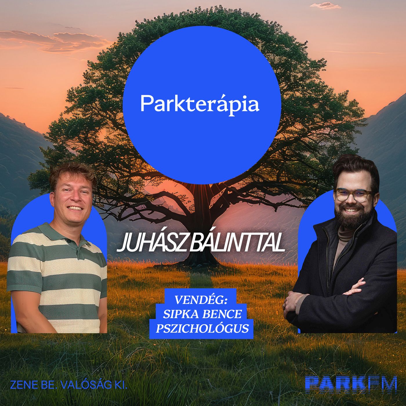 Miért nem tudod letenni a telefont? - Sipka Bence | Park FM - Parkterápia Miért nem tudod letenni a telefont? - Sipka Bence | Park FM - Parkterápia