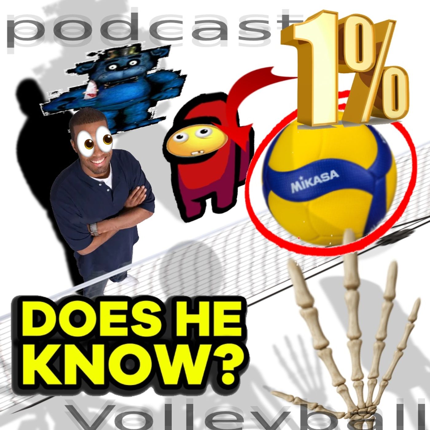 Podcast Volleyball cover art