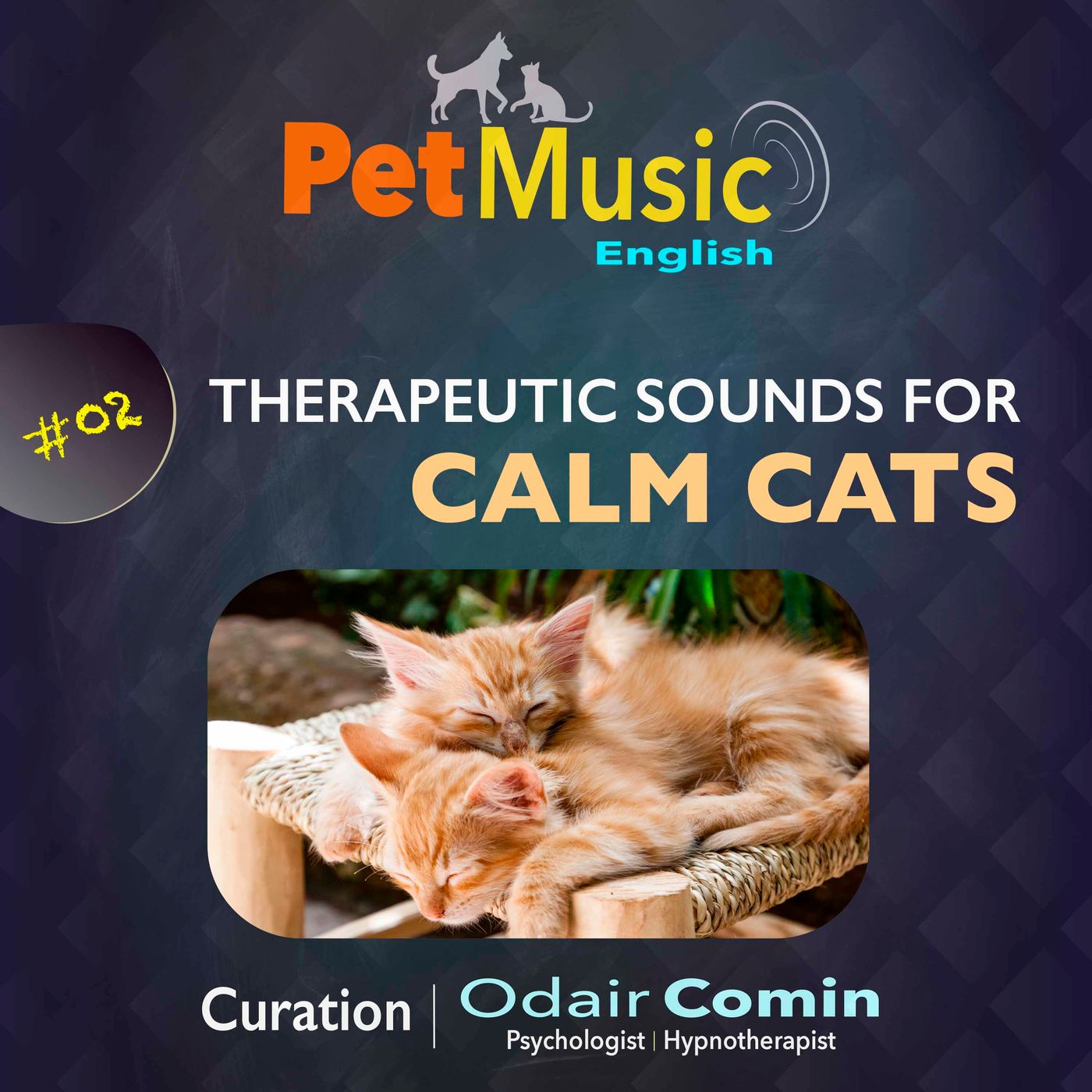 #02 Therapeutic Sounds for Calm Cats | PetMusic