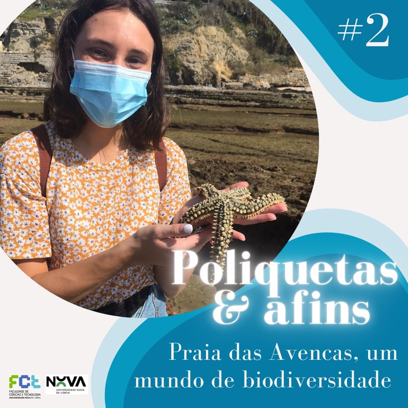 Poliquetas e afins