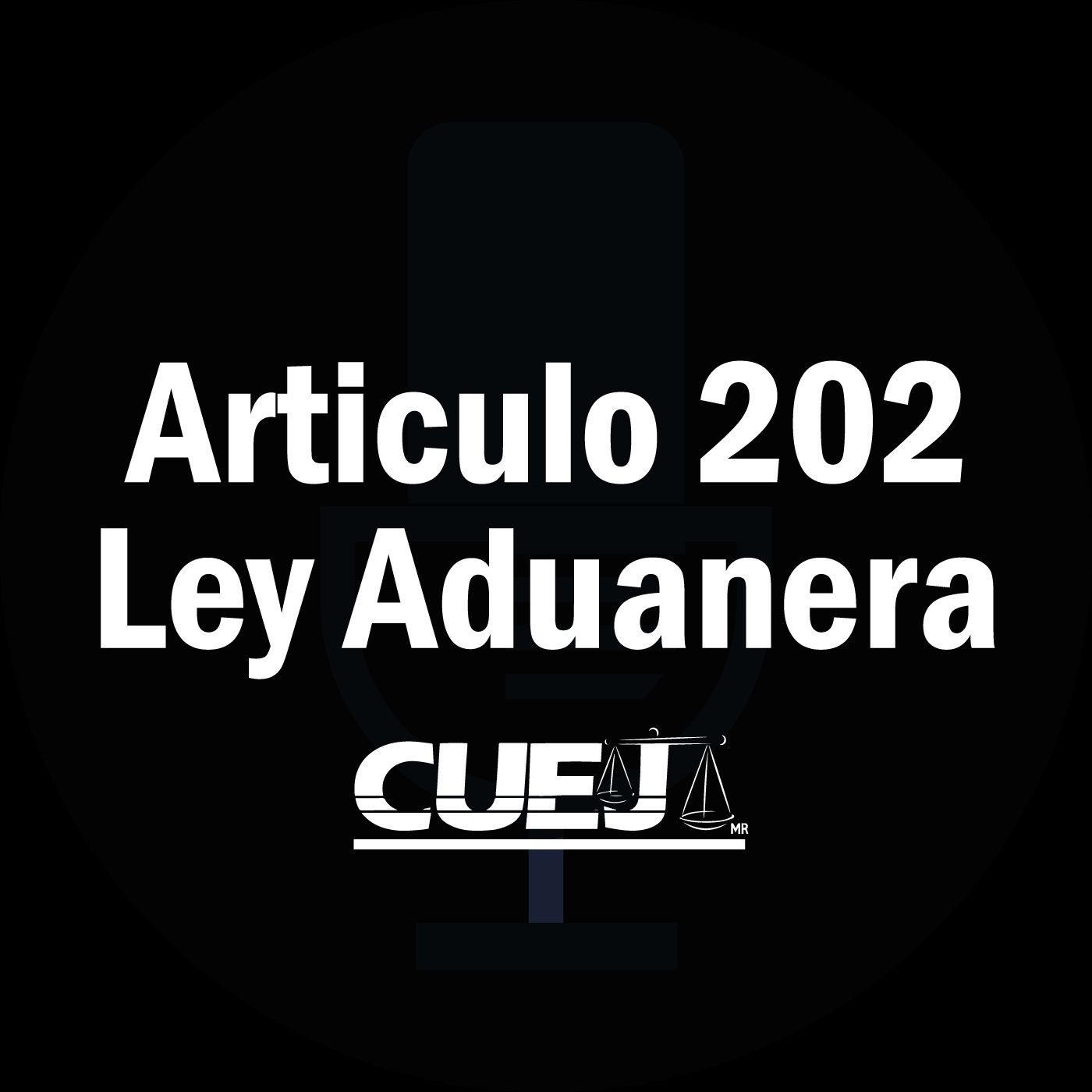 Audio Ley Aduanera