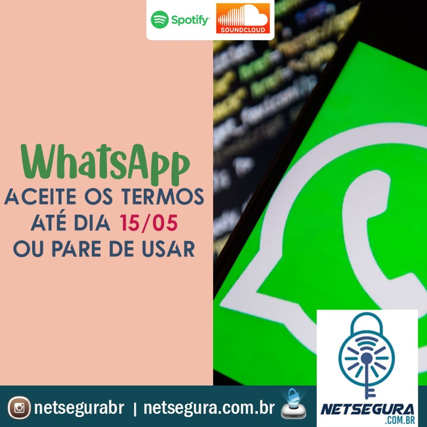 NetSegura - Segurança Digital