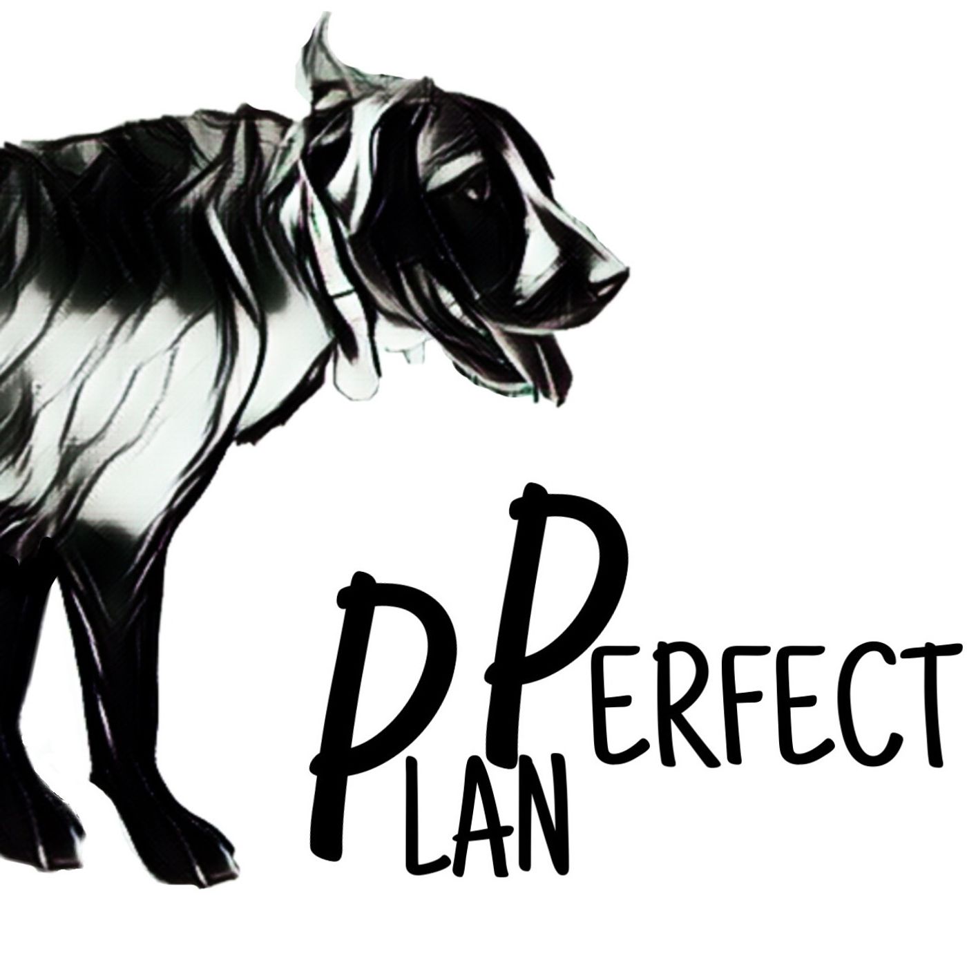 The Perfect Plan