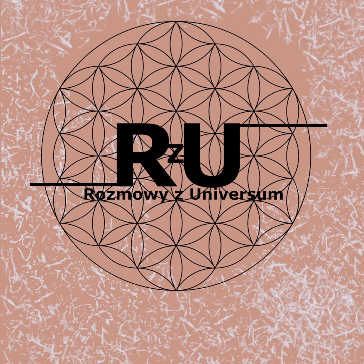 Rozmowy z Universum