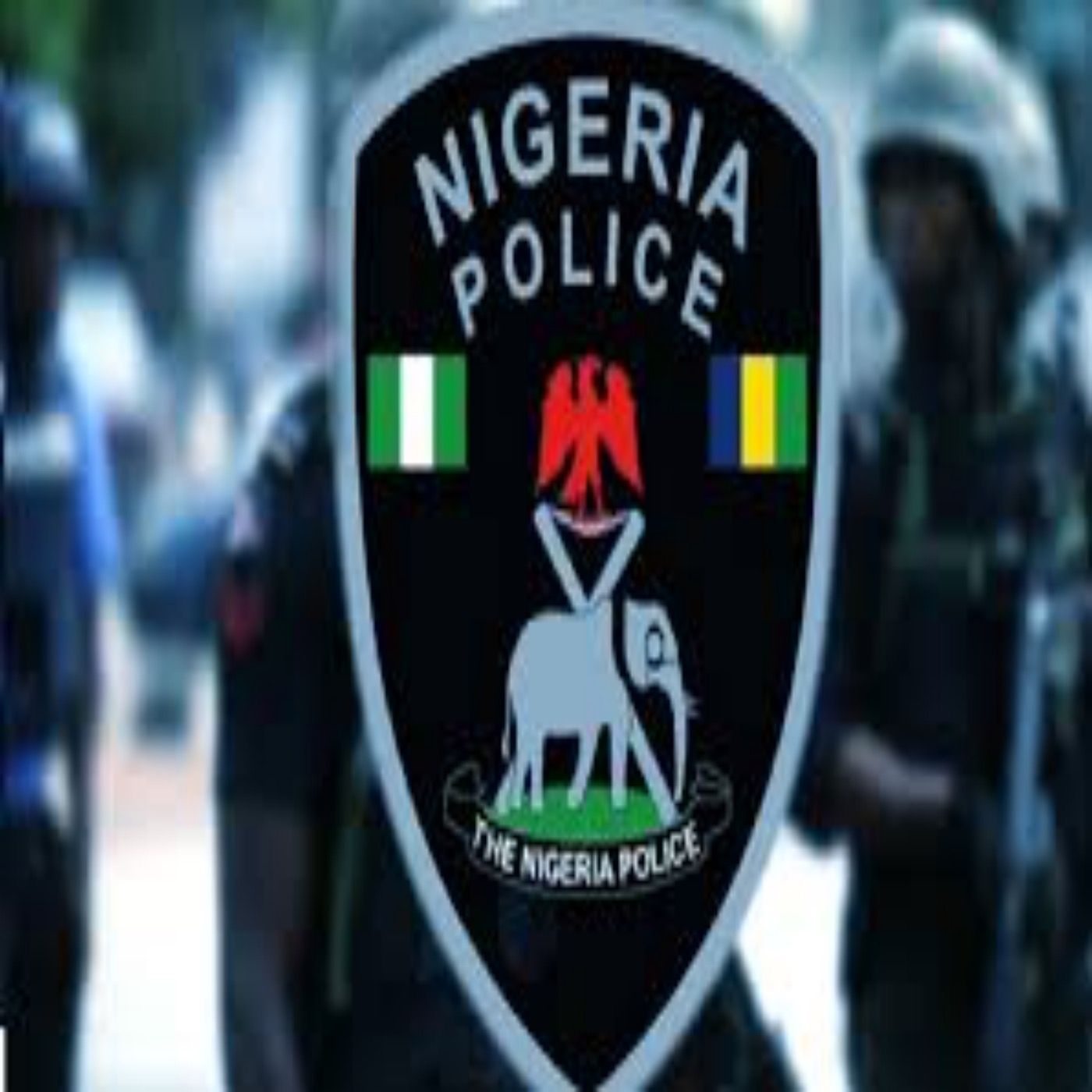 Cyber Criminality: Police arraign 113 foreign nationals